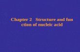 Chapter 2   Structure and function of nucleic acid