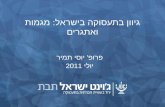 גיוון בתעסוקה בישראל: מגמות ואתגרים