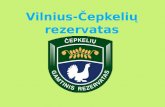 Vilnius-Čepkelių rezervatas
