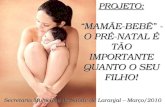 PROJETO: “MAMÃE-BEBÊ” - O PRÉ-NATAL É TÃO IMPORTANTE QUANTO O SEU FILHO!