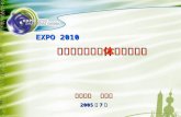 EXPO 2010 上海世博会交通体系规划研究