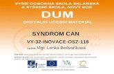 SYNDROM CAN