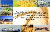 Рентабельность выращивания сельскохозяйственных культур  на  филиалах ООО СП "НИБУЛОН".
