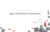 Age Estimation Summary