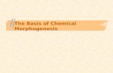 The Basis of Chemical Morphogenesis