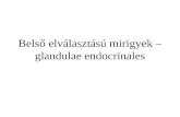 Belső elválasztású mirigyek – glandulae endocrinales