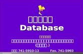 กลุ่ม  Database