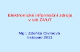 Elektronické informační zdroje  v síti ČVUT