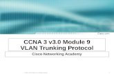 CCNA 3 v3.0 Module 9 VLAN  Trunking Protocol