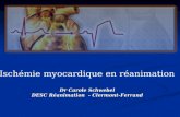 Ischémie myocardique en réanimation Dr Carole Schwebel DESC Réanimation  - Clermont-Ferrand