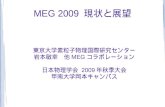 MEG 2009 現状と展望