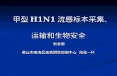 甲型 H1N1 流感标本采集、 运输和生物安全