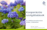 Kooperációs szolgáltatások  Az ellátásmenedzsment értéke, értékelése Molnár László