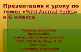 Презентация к уроку по теме: « Wild Animal Parks » в 6 классе