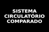 SISTEMA CIRCULATÓRIO COMPARADO