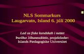 NLS Sommarkurs   Laugarvatn, Island 6. júlí 2000