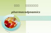 第二章   药物效应动力学 pharmacodynamics