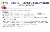 第 11 章 SQL 视图、 VFP8.0 的 CursorAdapter 和客户／服务器编程