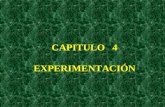 CAPITULO   4 EXPERIMENTACIÓN