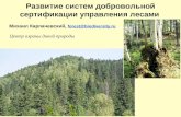 Развитие систем добровольной сертификации управления лесами