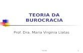 TEORIA DA BUROCRACIA