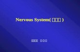 Nervous System( 신경계 )