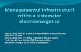 Managementul infrastructurii critice a sistemelor electroenergetice