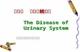 第十章  泌尿系统疾病 The Disease of     Urinary System 蚌埠医学院病理学教研室
