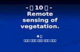 - 제 10 장 -  Remote sensing of vegetation.