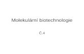 Molekulární biotechnologie