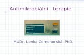 Antimikrobiální   terapie