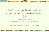 Úmluva primátorů a starostů v podmínkách ČR