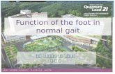 Function of the foot in normal gait