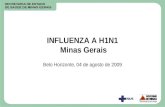 INFLUENZA A H1N1  Minas Gerais