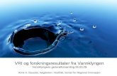 VRI og forskningsresultater fra Vannklyngen Vannklyngens generalforsamling 26.03.09