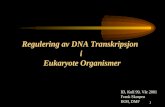 Regulering av DNA Transkripsjon  i  Eukaryote Organismer