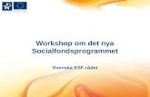 Workshop  om det nya Socialfondsprogrammet Svenska  ESF-rådet