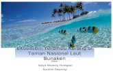 Ekosistem Terumbu Karang di  Taman  Nasional Laut Bunaken
