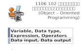 Variable, Data type, Expression, Operators Data input, Data output