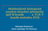 Molekulárně biologická analýza klonální přestavby IgH B-buněk         a TCR T-buněk metodou PCR