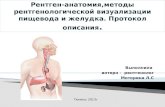 Рентген-анатомия,методы  рентгенологической визуализации пищевода и желудка. Протокол описания .