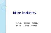 Mice Industry