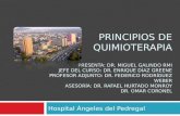 Hospital Ángeles del Pedregal