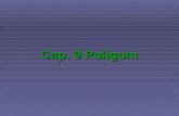 Cap. 9 Poligoni