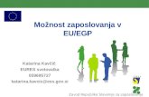 Možnost zaposlovanja v EU/EGP