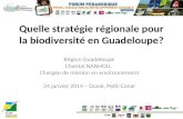 Quelle stratégie régionale pour la biodiversité en Guadeloupe?