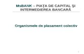 MsBANK  – PIAŢA DE CAPITAL ŞI INTERMEDIEREA BANCARĂ