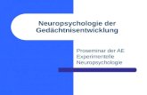 Neuropsychologie der Gedächtnisentwicklung