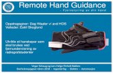 Remote Hand Guidance