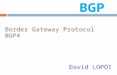 Border Gateway Protocol  BGP4